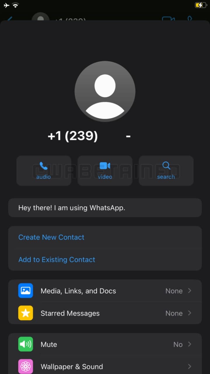 WhatsApp redesign contact info