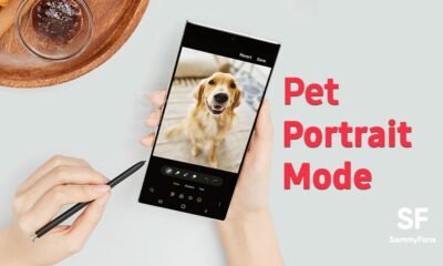 Pet Portrait Mode