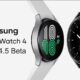 Samsung One UI Watch 4.5 Beta