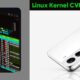 Samsung Galaxy S22 kernel vulnerability