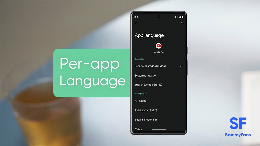 Per-app language preferences