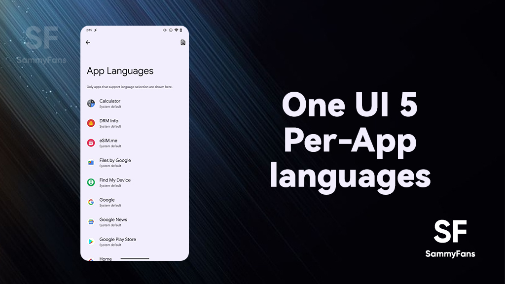 One UI 5 Per-app language feature