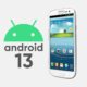 Galaxy S III Android 13 custom rom