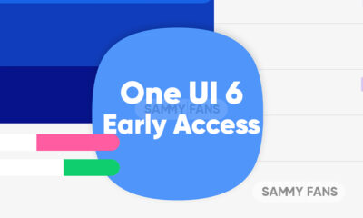 Samsung One UI 6 Early Access