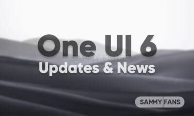 Samsung One UI 6.0 Update