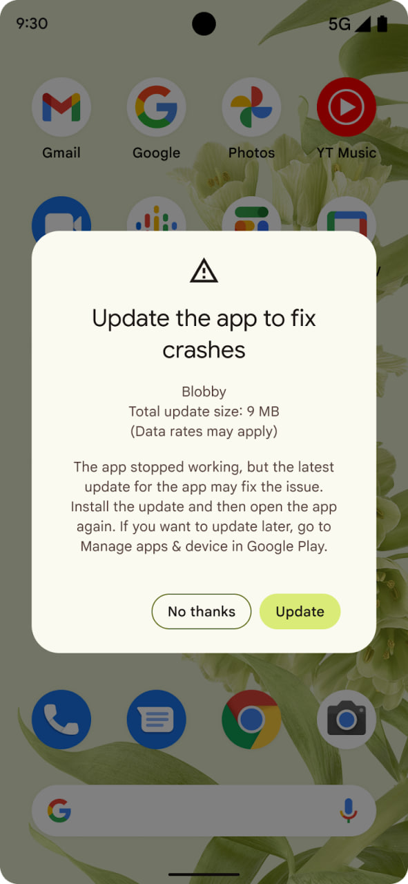 Google Play Store App Crash