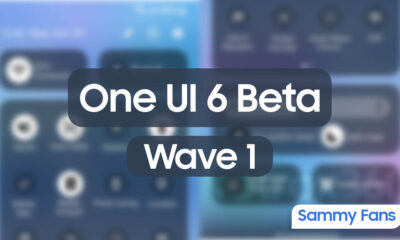 Samsung One UI 6 Beta Wave 1 Markets