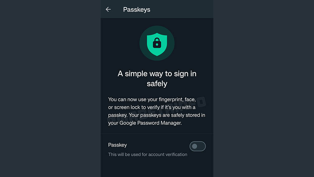 नहीं होगा अब पासवर्ड याद रखने का झंझट, Fingerprint और FaceID से खुलेगा WhatsApp 

Pass-Key Feature on WhatsApp Now there will be no hassle of remembering password, WhatsApp will open with fingerprint and Face ID