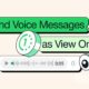 WhatsApp View Once Voice Messages