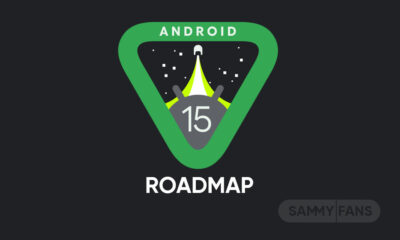 Android 15 roadmap