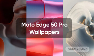 Motorola Moto Edge 50 Pro wallpapers