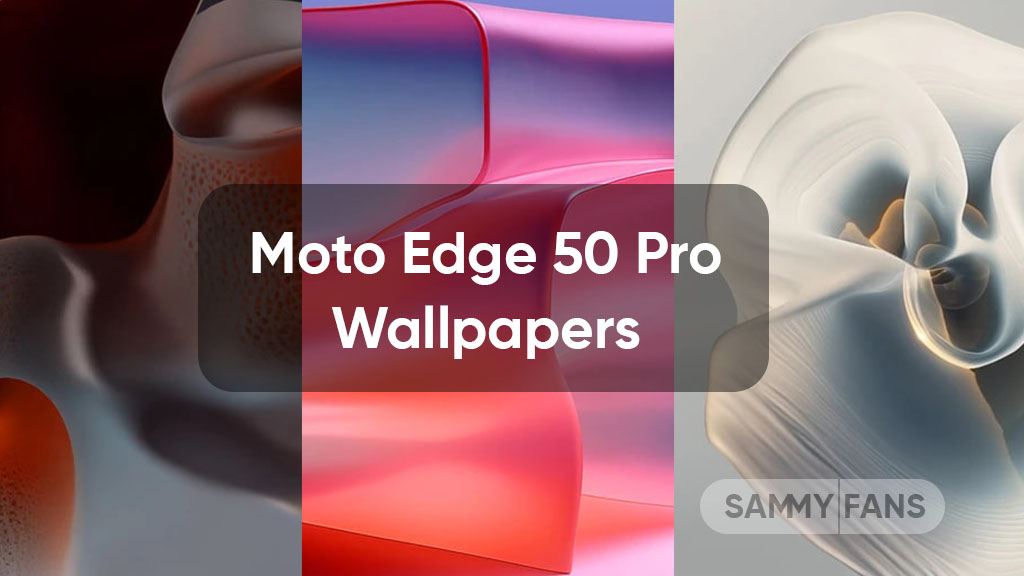 Motorola Moto Edge 50 Pro wallpapers