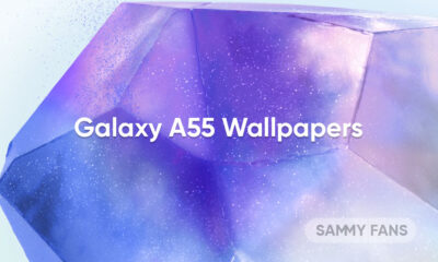 Download Samsung Galaxy A55 Wallpapers