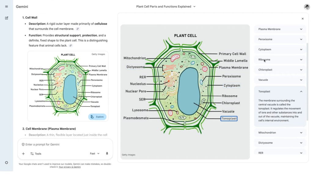 Google Gemini interaktiv şəkillərlə öyrənməyi asanlaşdırdı